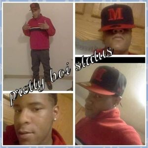 Meet your Posher, Teddy